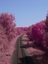 Infrared full spectrum for sale  SHREWSBURY