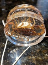 Vintage Scorpion Yo-Yo Dois Escorpiões Reais Envelopado Brilho. Ótimo estado! comprar usado  Enviando para Brazil