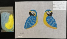 macaw for sale  Malvern