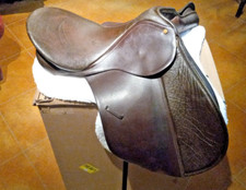 Bates caprilli english for sale  Santa Fe