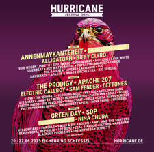 Hurricane festivalpass 2025 gebraucht kaufen  Dresden
