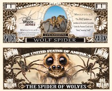 Wolf spider novelty for sale  Clinton