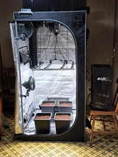 Vivosun 4x4 indoor for sale  San Antonio