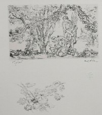 Jardinage plante vieillard d'occasion Jardinage plante vieillard d'occasion  Pluvigner