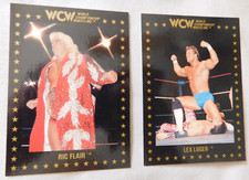 1991 championship marketing for sale  Exton