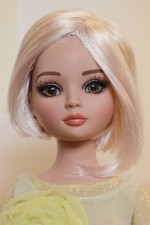 Tonner wilde imagination d'occasion  Melun