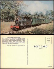 Pine creek railroad gebraucht kaufen  Ortrand