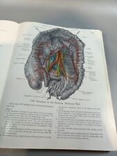 Illustrated Anatomy Book - An Atlas of Anatomy by J.C. Boileau Grant Vintage. comprar usado  Enviando para Brazil