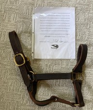 thoroughbred for sale  Cochranton