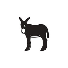 Ane burro couleur d'occasion  Billère