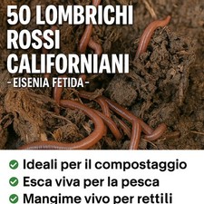 Lombrichi rossi californiani usato  Stefanaconi