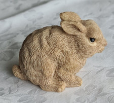 Brauner hase sterhase gebraucht kaufen  Gröditz