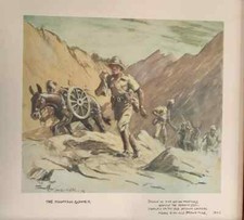 Snaffles mountain gunner for sale  PEEBLES