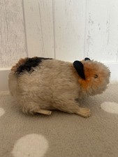 Steiff 1970 meerschweinchen gebraucht kaufen  Lampertheim