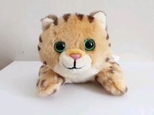 Russ petooties pets for sale  SUNDERLAND