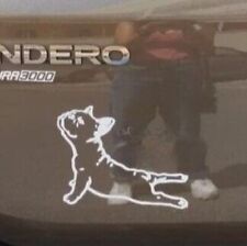 Adesivo sticker vetri usato  Toritto