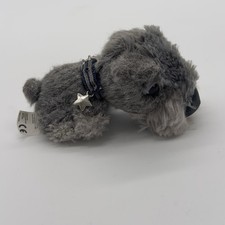 Miniature schnauzer dog for sale  ARMAGH