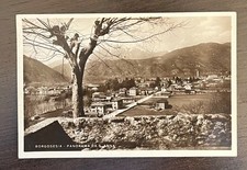 Rara cartolina borgosesia usato  Milano