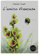 Amico francese. conti usato  Villarbasse