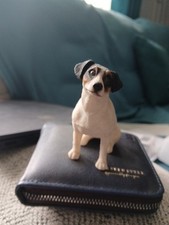 Jack russell terrier for sale  SEAHAM