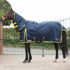Gallop trojan ponie for sale  CHATTERIS
