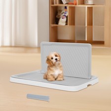 Pet puppy dog for sale  BURTON-ON-TRENT