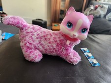 2018 kitty pet for sale  LUTON