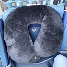 Brookstone travel neck for sale  North Grafton