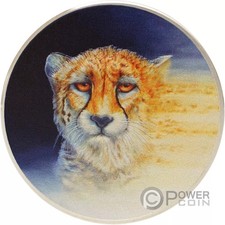 Ghepardo asiatico moneta usato Ghepardo asiatico moneta usato  Ciampino