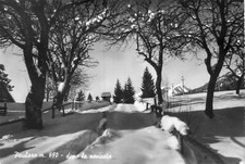 Paularo carnia. neve. usato  Venzone