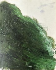 Twombly bilder arbeiten gebraucht kaufen  Klettgau
