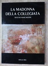Libro madonna della usato  Italia
