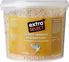 Extra select peanut for sale  ROTHERHAM
