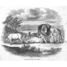 Bullock wagons south for sale  GLASGOW