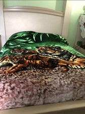 Blanquet tigers for sale  Jonesboro