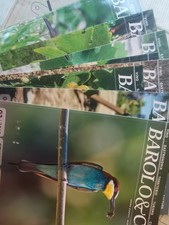 Barolo lotto riviste usato Barolo lotto riviste usato  Italia