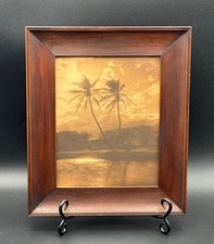 Vintage tropical palm for sale  Blaine