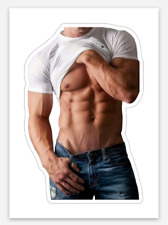 Adesivos adesivos Hot Body Man 1,98"x3" camisa jeans jockstrap singlete 1651, usado comprar usado  Enviando para Brazil
