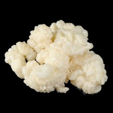 10g organic live for sale  CARLISLE