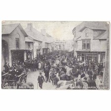 Lampeter dalis fair for sale  GLASGOW