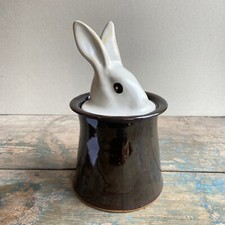 Novelty magician rabbit for sale  BROMYARD