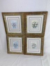 Vintage framed floral for sale Vintage framed floral for sale  LAUNCESTON