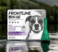 Frontline plus flea for sale  ENFIELD