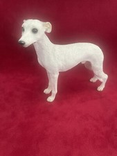 White whippet dog d'occasion  Expédié en Belgium