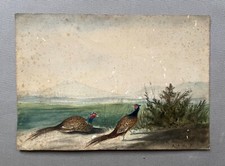 Pheasants antique watercolor d'occasion  Expédié en Belgium
