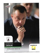 Del playercard steffen gebraucht kaufen  Hiddenhausen