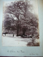 Original photo 1887 d'occasion  Expédié en Belgium