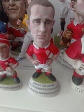 Grogg shane williams for sale  SWANSEA