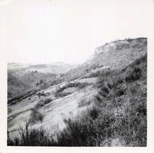 Vtg photo nature for sale  Lynden
