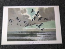 Peter scott 1952 for sale  Peterborough